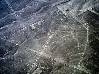 Nazca Line - Condor