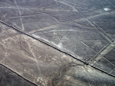 Nazca Line - Spider
