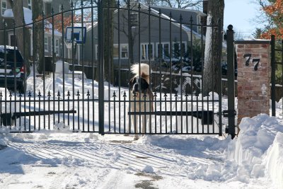 Newstead Blizzard Dig Out 17.jpg
