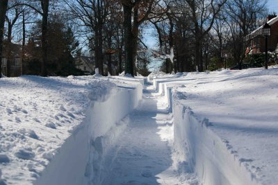 Newstead Blizzard Dig Out  23.jpg