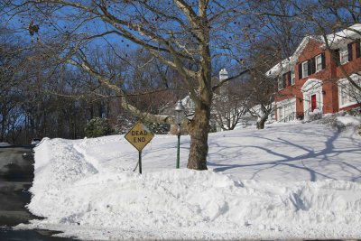 Newstead Blizzard Dig Out  27.jpg