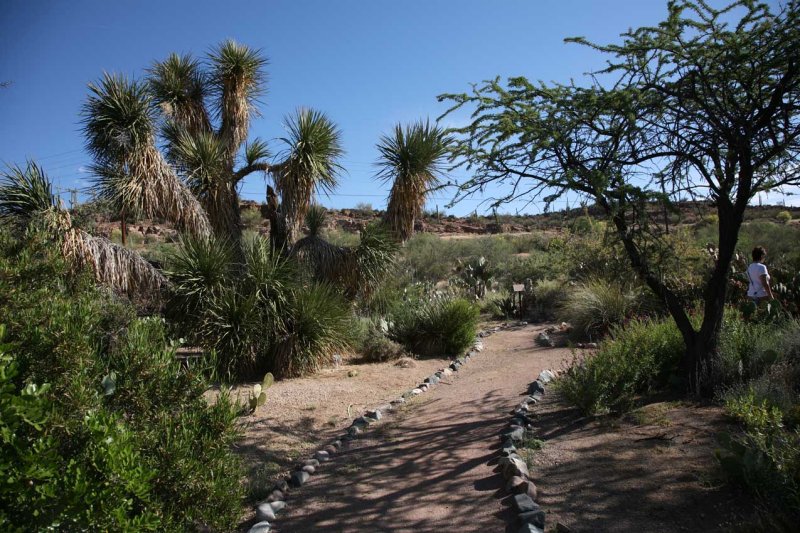 Paths Lead to Many Different Gardens