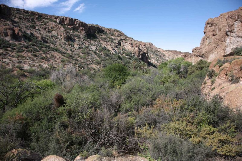 The Riparian Area
