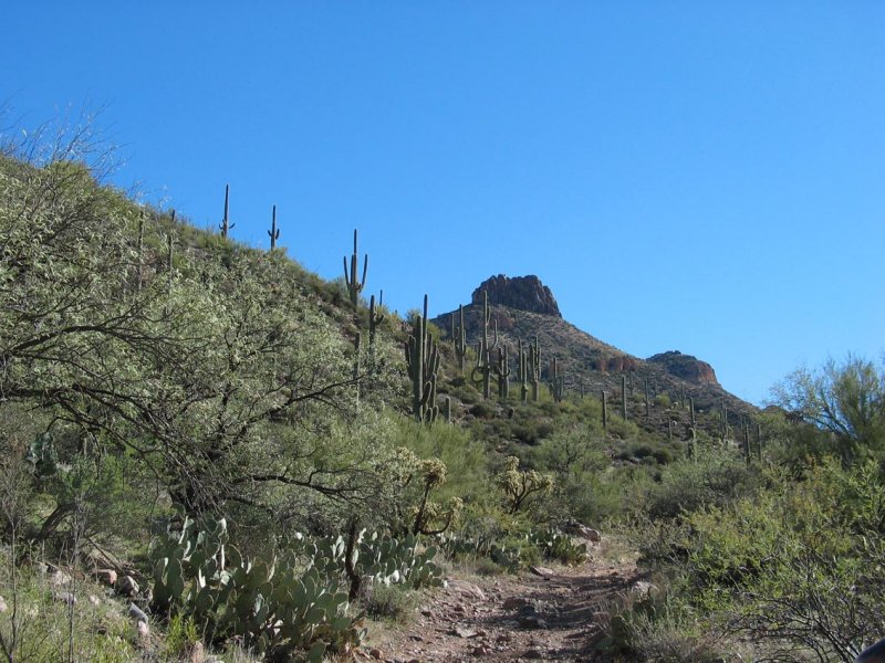 Bell Butte