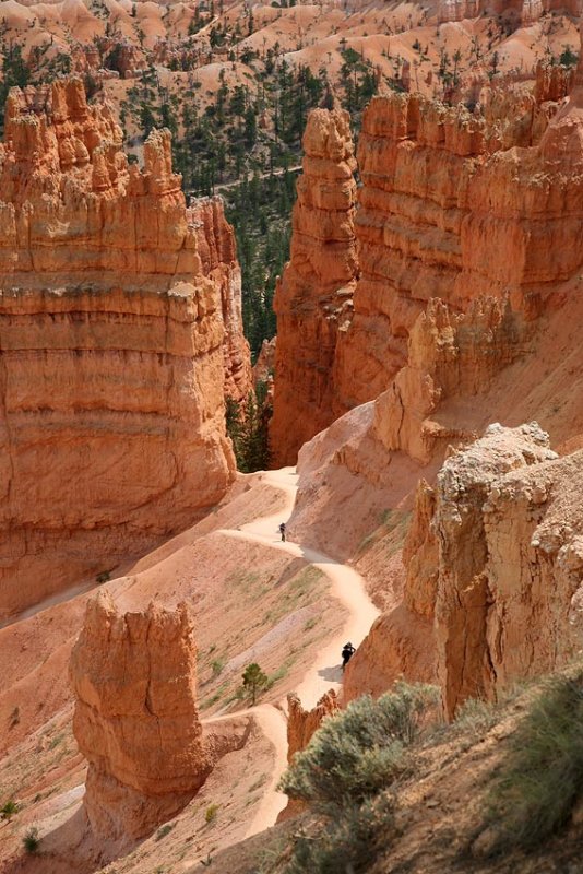 Navajo Loop Trail