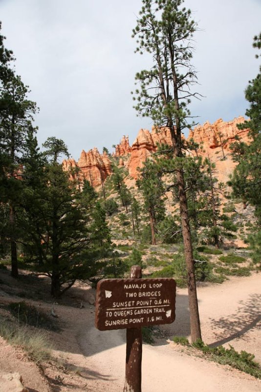 Left for the Navajo Loop