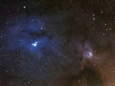 Nebulae in Rho Ophiuchus