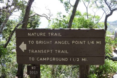 The Bright Angel Trail Head