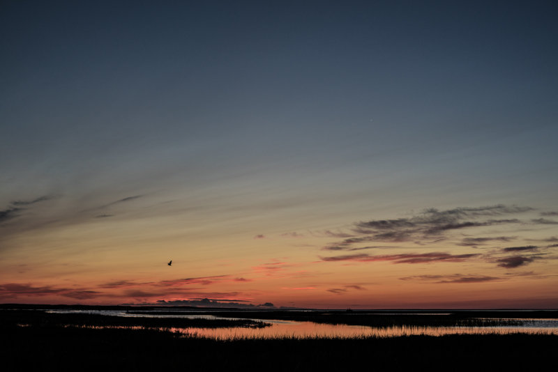 20140816-_DSC3509.jpg