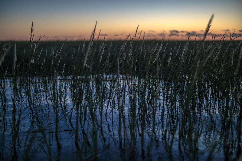 20140829-_DSC1703.jpg