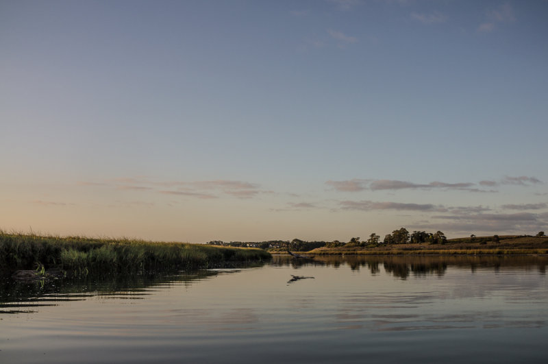 20140920-_DSC1851.jpg