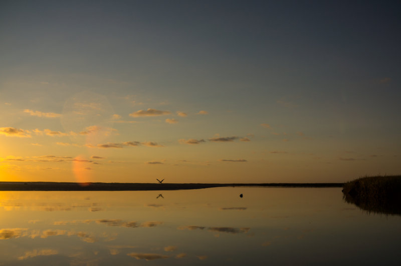 20140920-_DSC1849.jpg