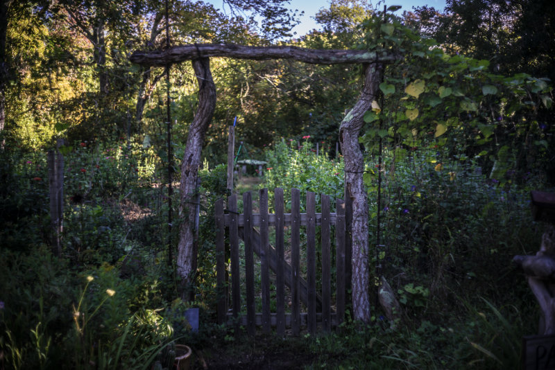 20141005-_DSC3782.jpg