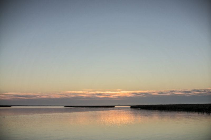 20141018-_DSC2884-2.jpg