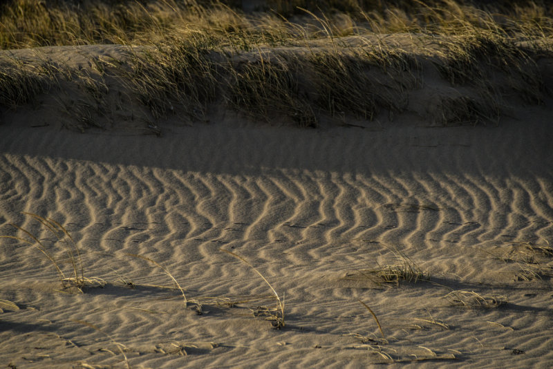 20141115-_DSC4473.jpg