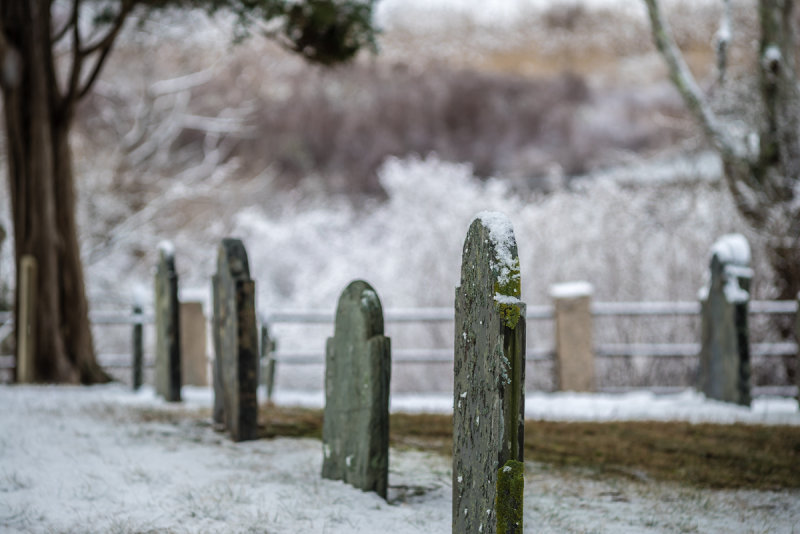 20150122-_DSC5570.jpg
