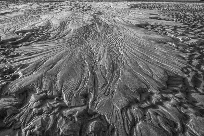 BW laval flow 20150418-_DSC7425-2.jpg