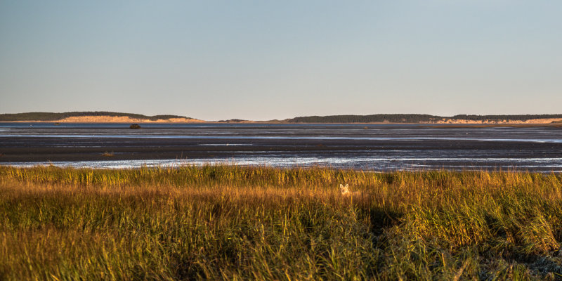 20151028-_DSC3642.jpg