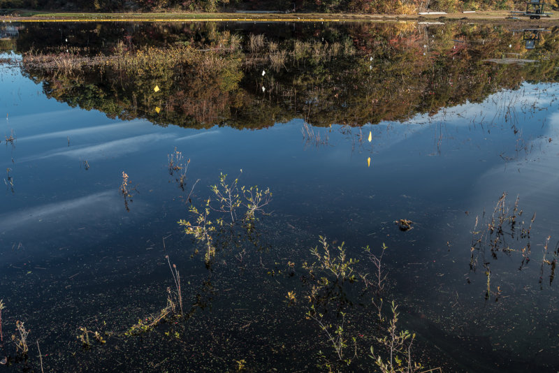 20151027-_DSC0312.jpg