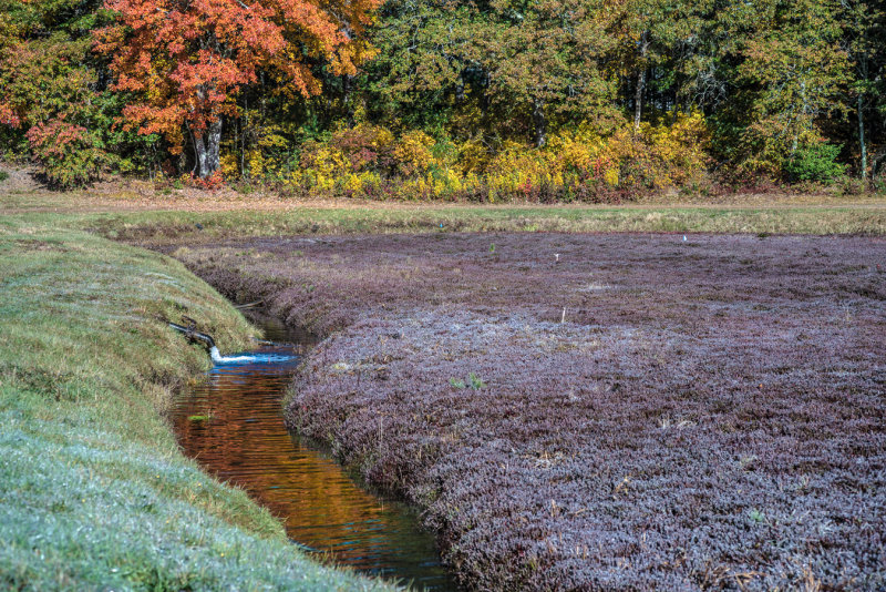 20151027-_DSC3594.jpg
