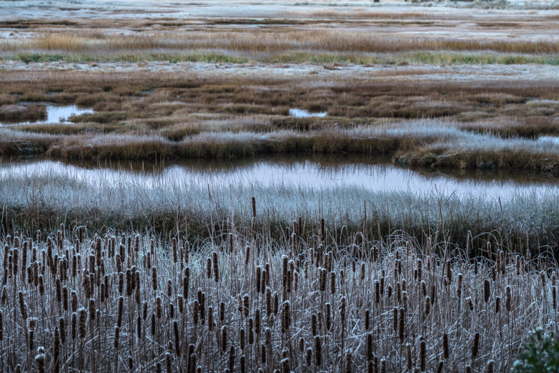 20151118-_DSC4532.jpg