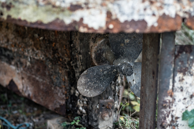 _DSC7533.jpg