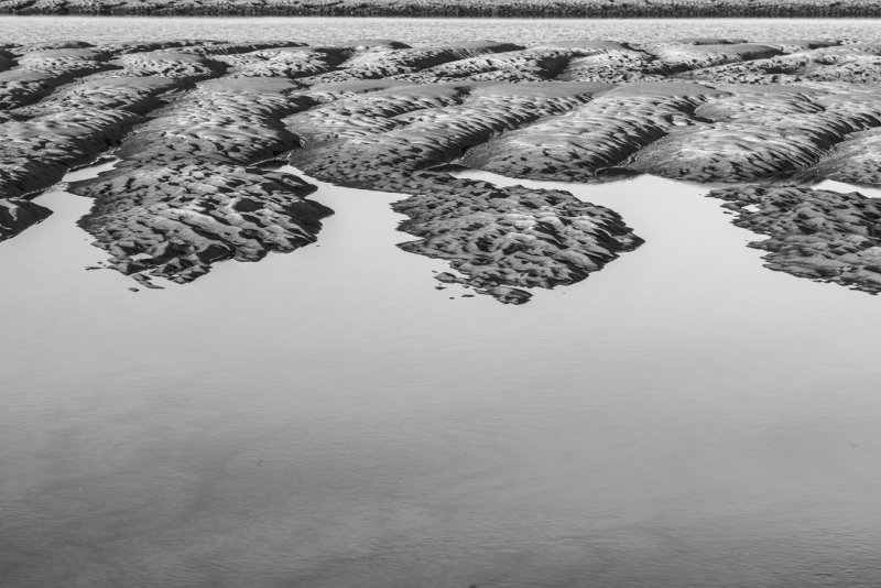 20160312-_DSC0837.jpg