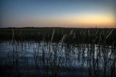 20140829-_DSC1705.jpg