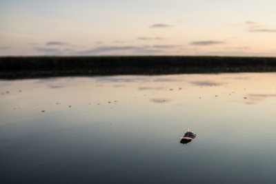 20140920-_DSC1841.jpg