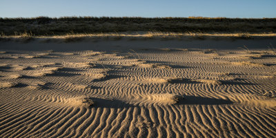 November 2014 : Sand ripples and shadows
