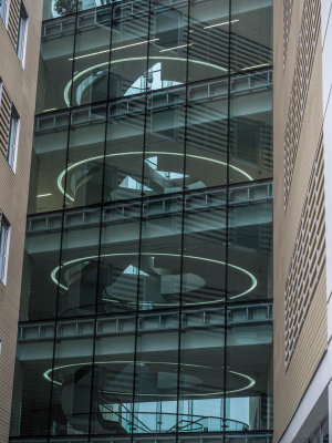 20141226-_C260557.jpg