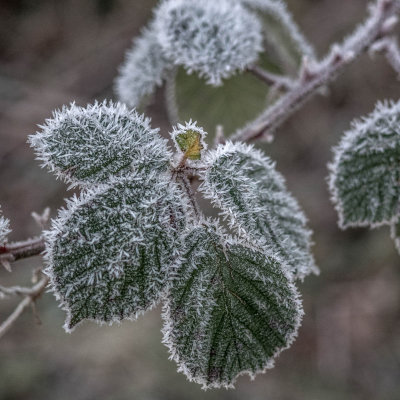 20141229-_C290907.jpg