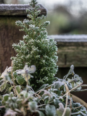 20141229-_C290997.jpg