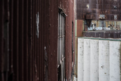 20150515-_DSC8410.jpg