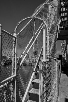 20150514_BW-_DSC8041.jpg