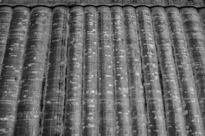 20150516_BW-_DSC8441.jpg