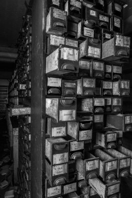20150517_BW-_DSC8365.jpg