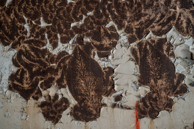 Peeled paint and rust patterns on the Columbia