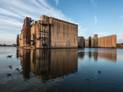 Ghostly Geese fly past the grain elevator complex in Buffalo