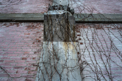 January 2016 : Growth on abandoned building