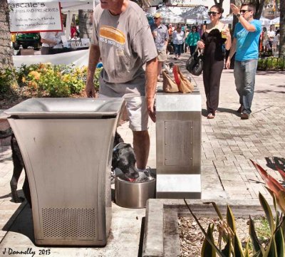 Doggie Water Fountain