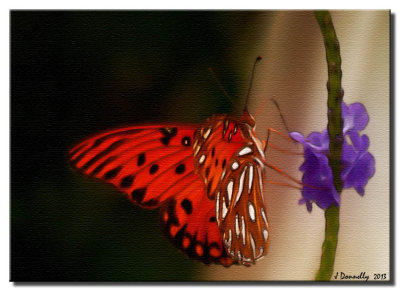 So Many Vibrant Colors!