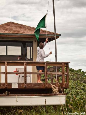 A Green Flag Means.....
