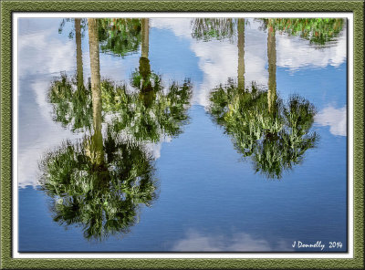 Reflections