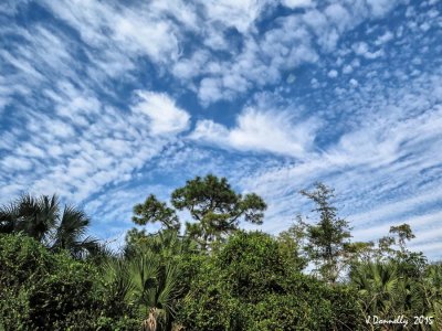 Spectacular Skies!