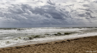Rough Seas Today