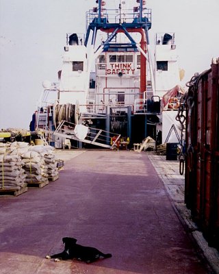 g9/63/609263/3/151283335.3cI2Lqwa.jpg