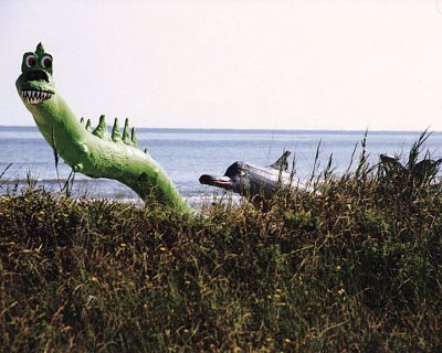 Driftwood art Surfside