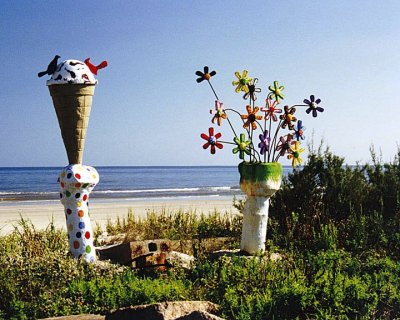 Driftwood art Surfside