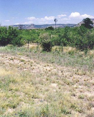 West Texas